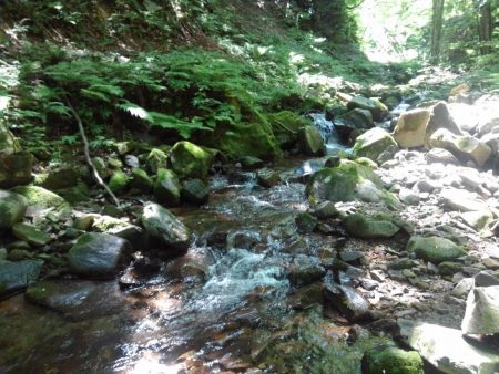 先週リリースした尺イワナが釣れた